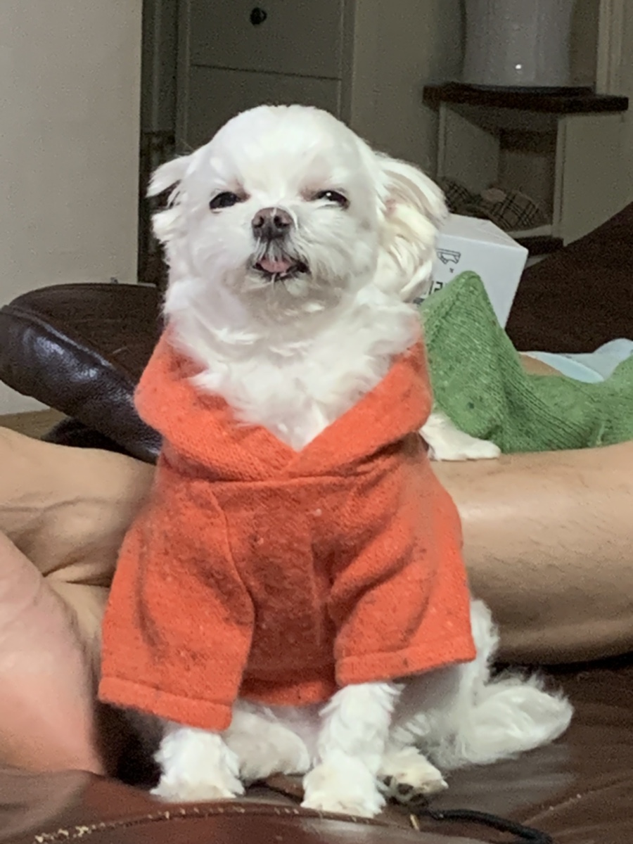 헤이버디(HEY BUDDY) 이미지