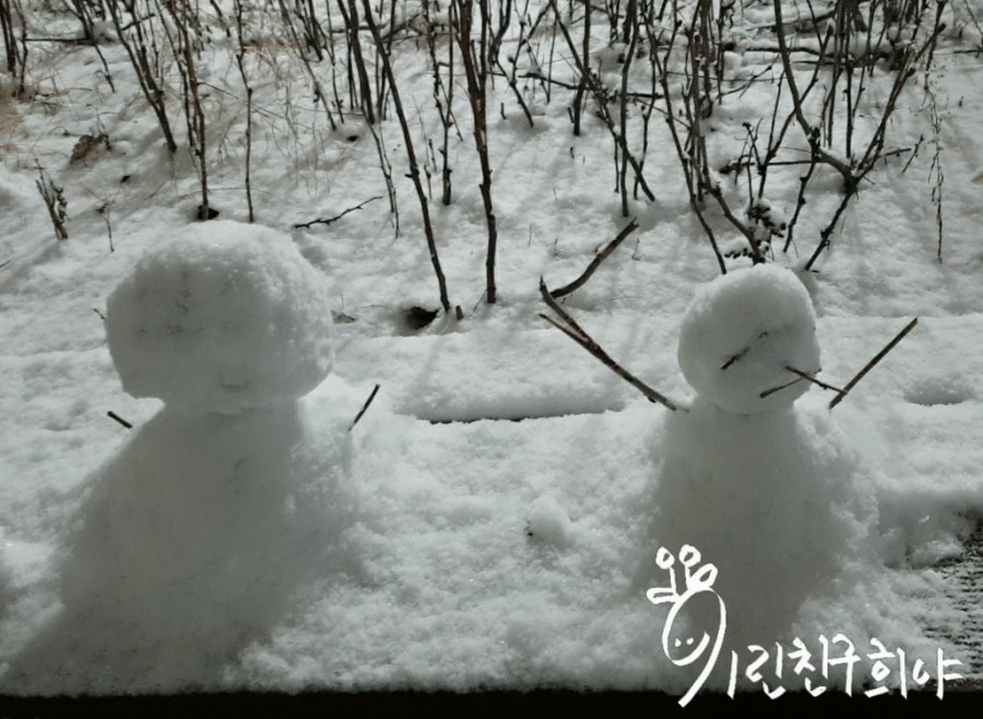 데굴데굴 이미지