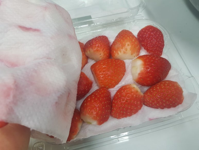 큐원메이트 이미지