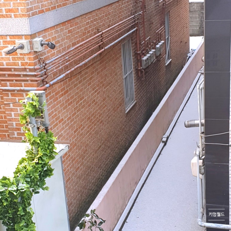 키멍 이미지