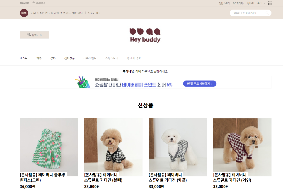 헤이버디(HEY BUDDY) 이미지
