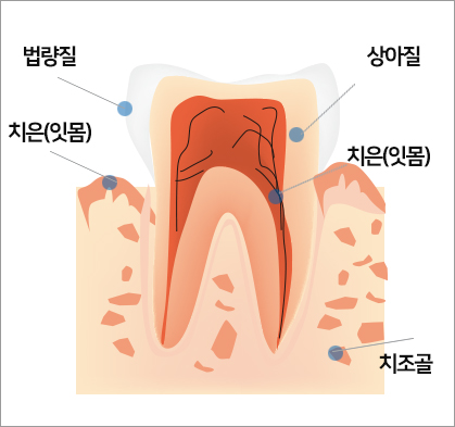 서울이좋은치과 이미지