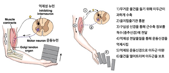 피트니스고유 이미지