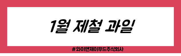 와이앤제이푸드 주식회사 이미지