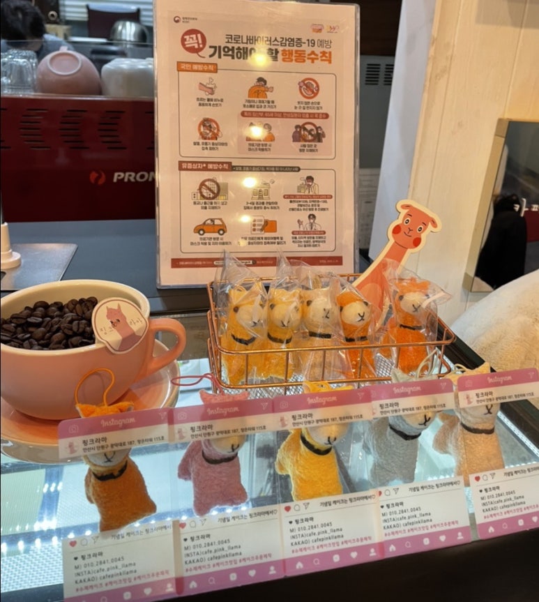 핑크라마 이미지