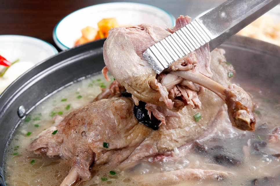 남도오리 이미지