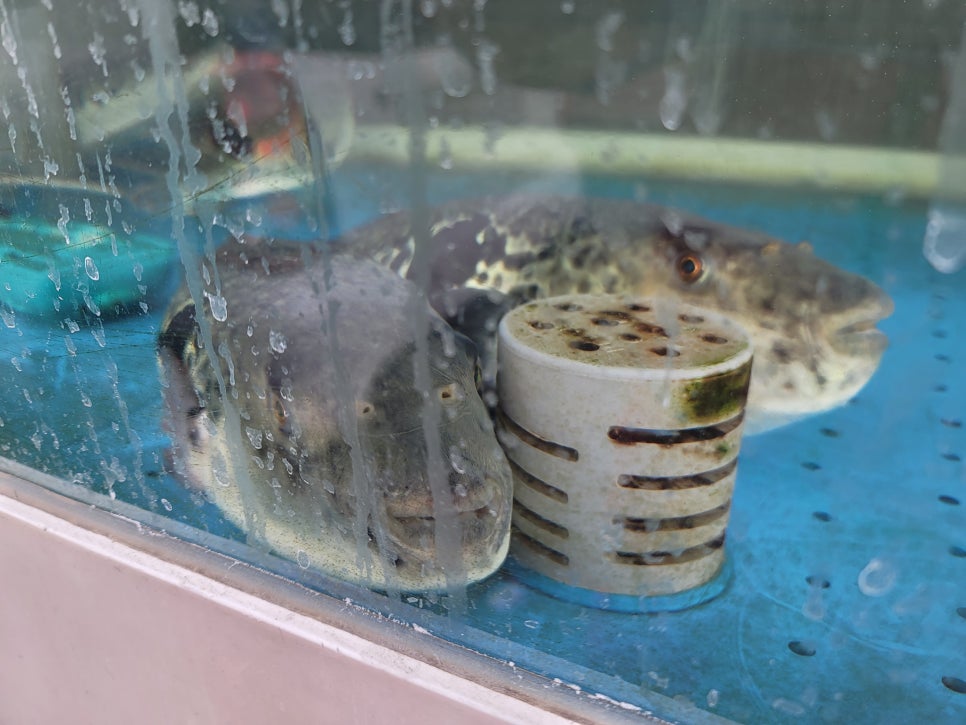 흥복식당 이미지