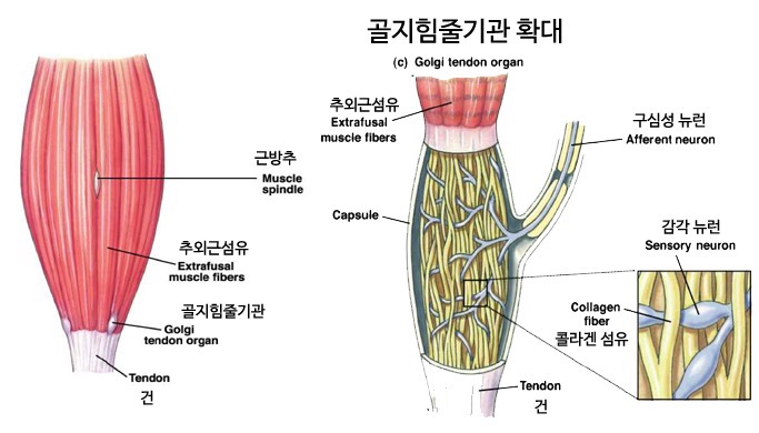 피트니스고유 이미지
