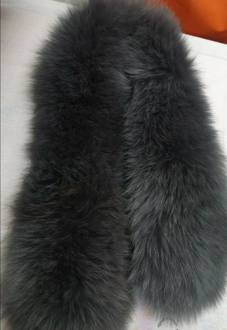 일광클리닝 이미지