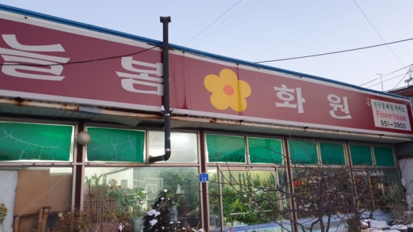 늘봄화원 이미지