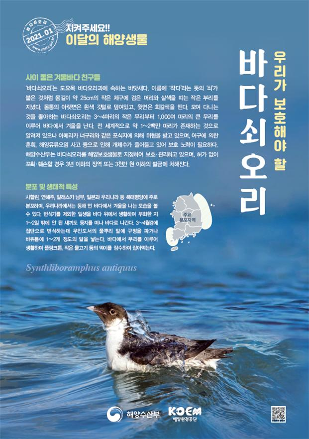 이달의바다 이미지