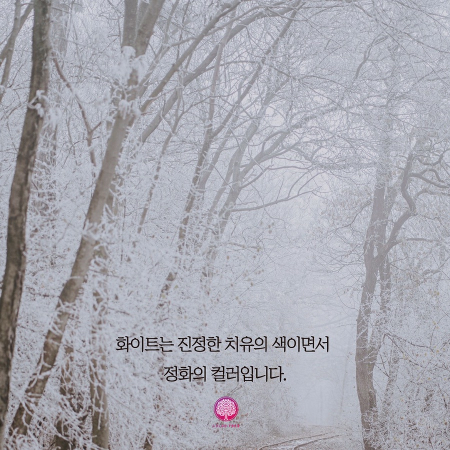 컬러트리뷰티센터(상남점) 이미지
