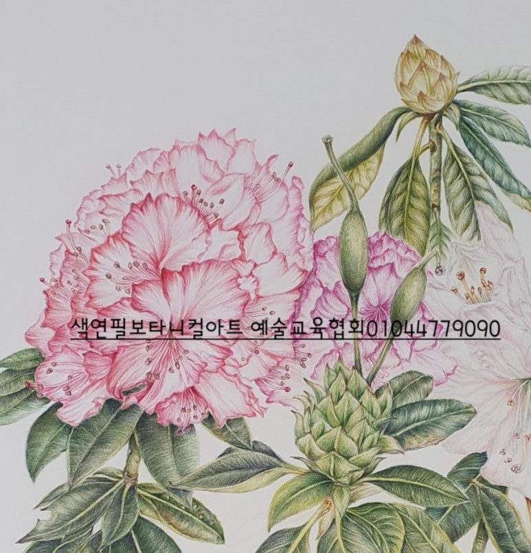 보타니컬아트예술문화교육협회 이미지