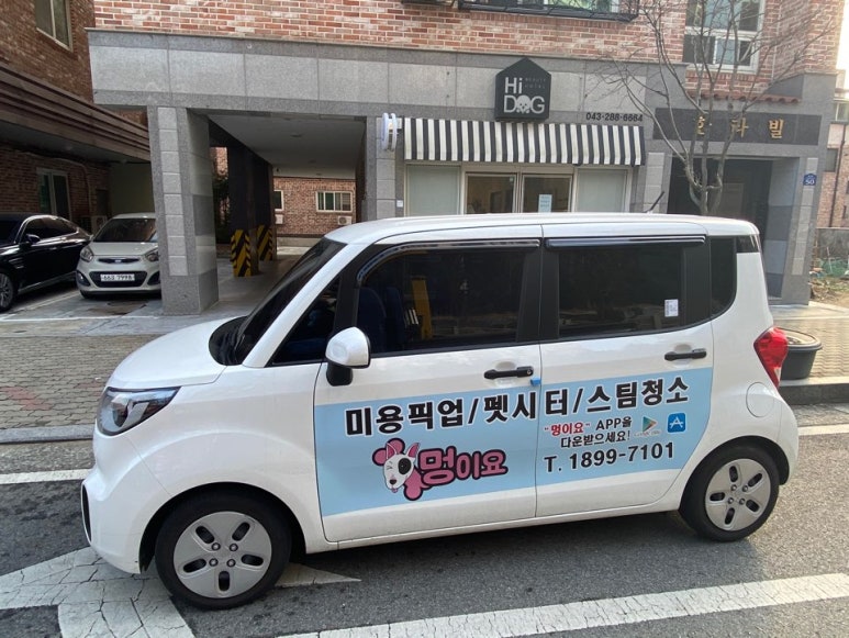 하이도그 이미지