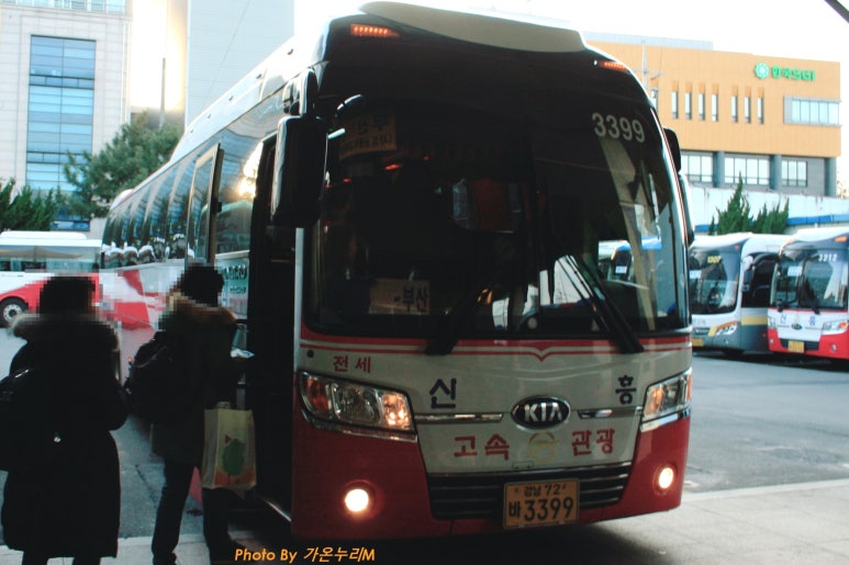 자유고속관광 이미지