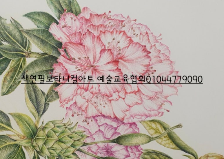 보타니컬아트예술문화교육협회 이미지