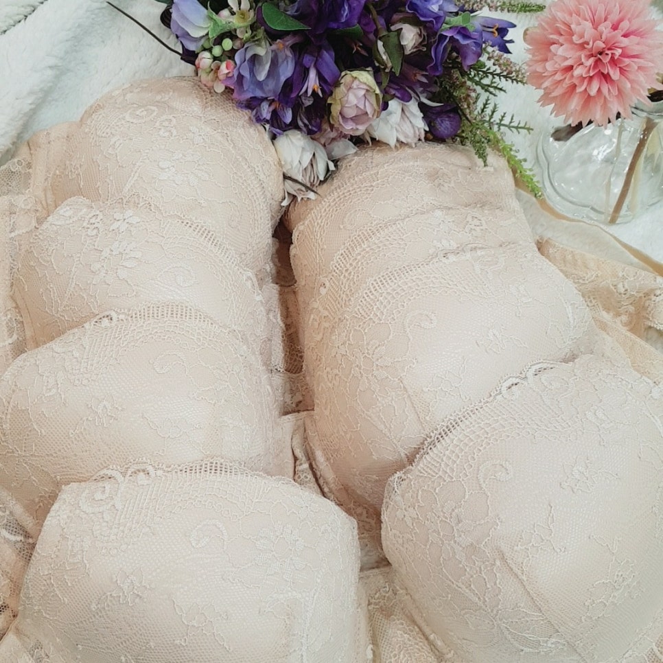사라란제리 이미지
