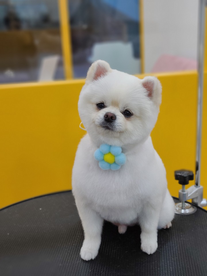 미용타운 이미지