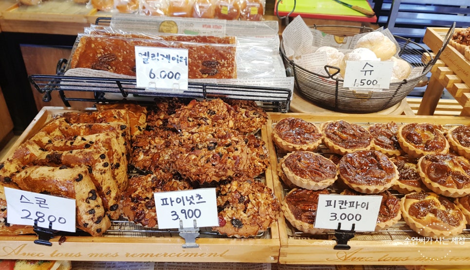 브래드몽드 이미지