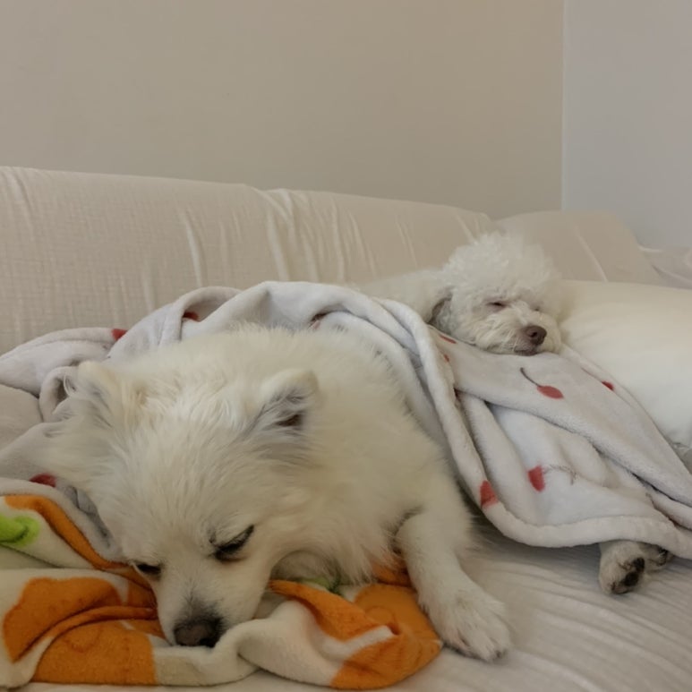 코코옷수선 이미지