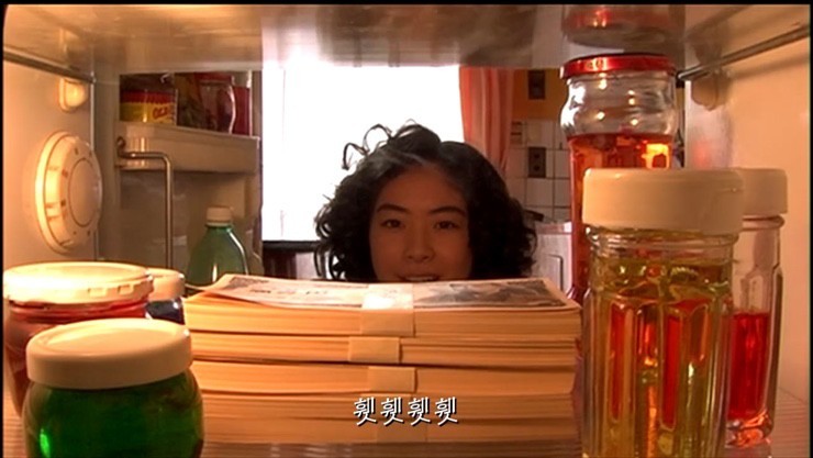 거북이의기적 이미지