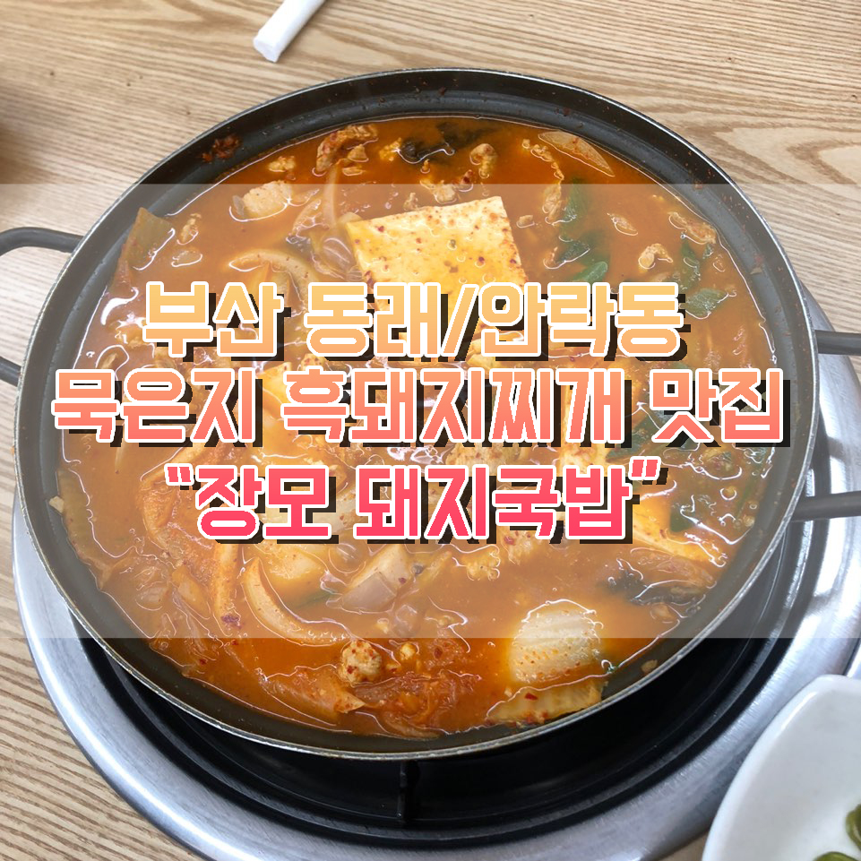 장모묵은지흑돼지찌개 이미지