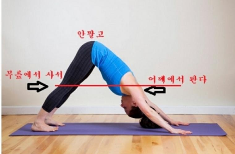 동학커넥트 이미지