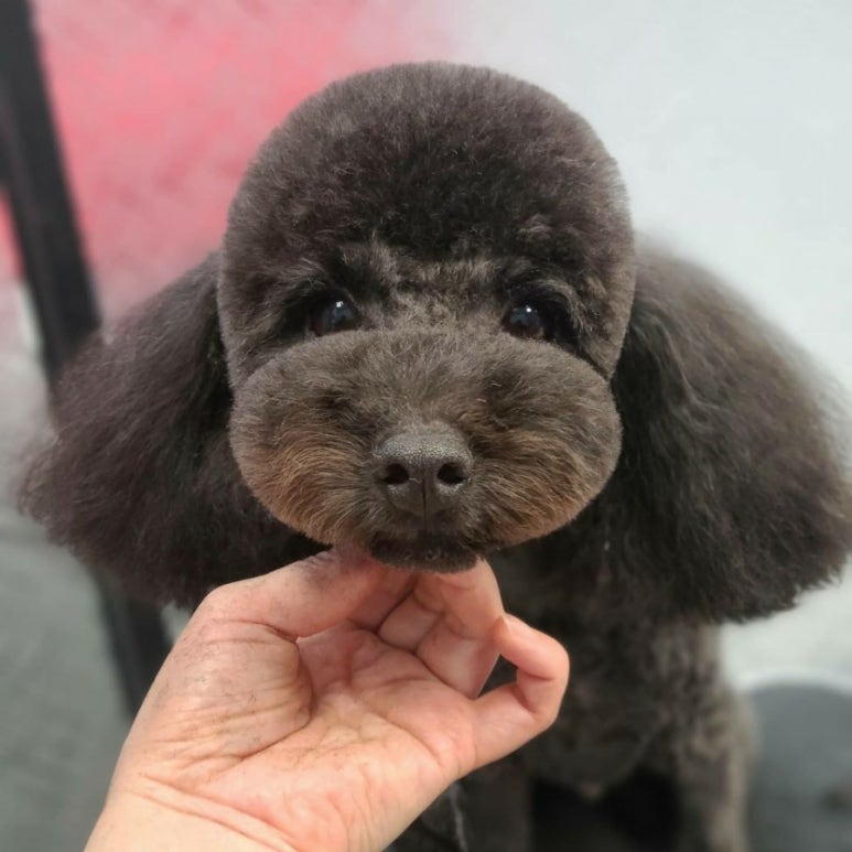미용타운 이미지
