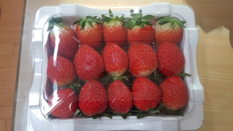 온다점핑 이미지