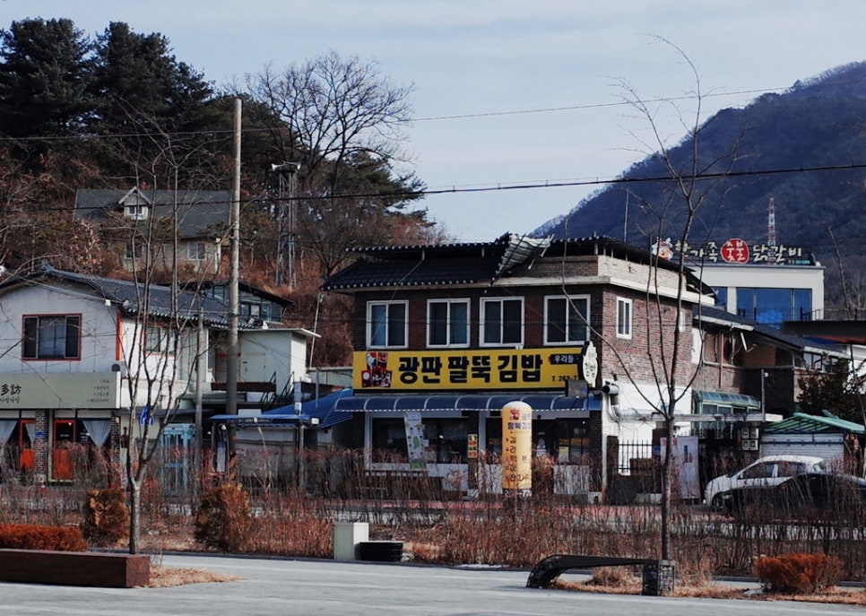 광판팔뚝김밥김유정역점 이미지