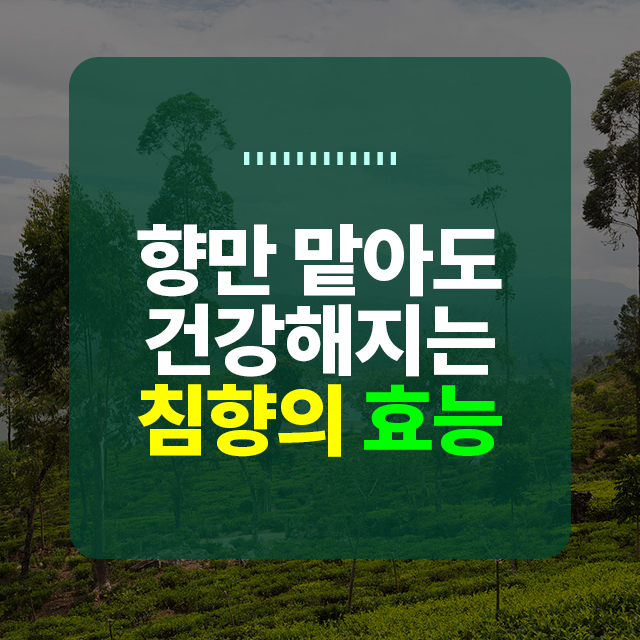 향만 이미지