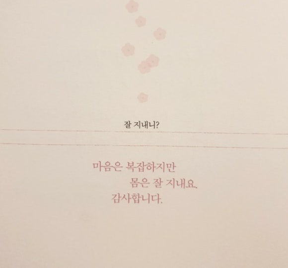 나래필림 이미지