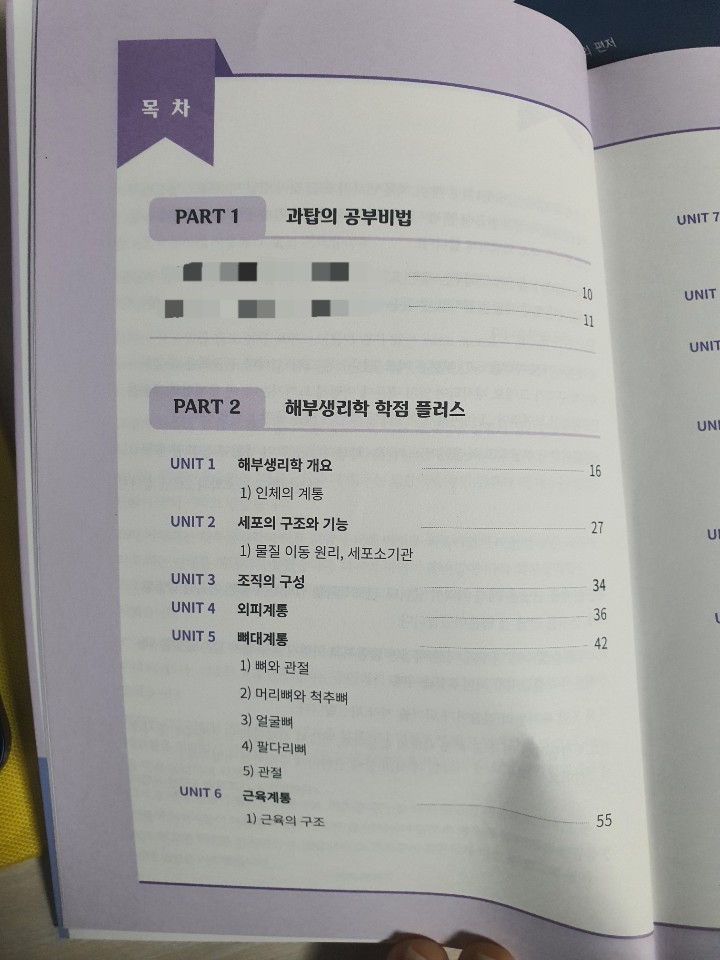 원탑(1TOP) 이미지