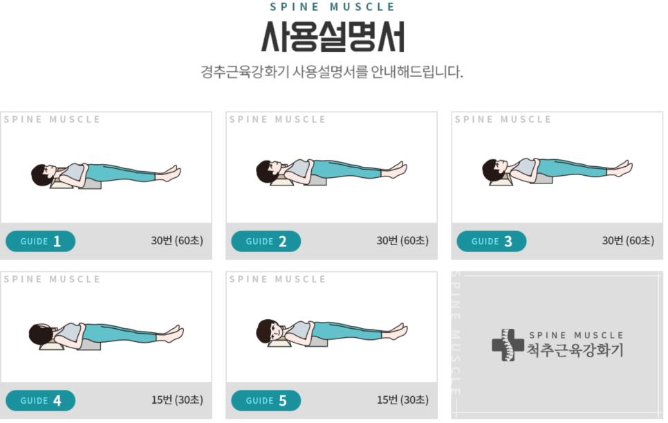 척추근육강화기 이미지
