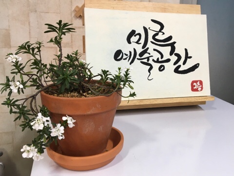 미루예술공간 이미지
