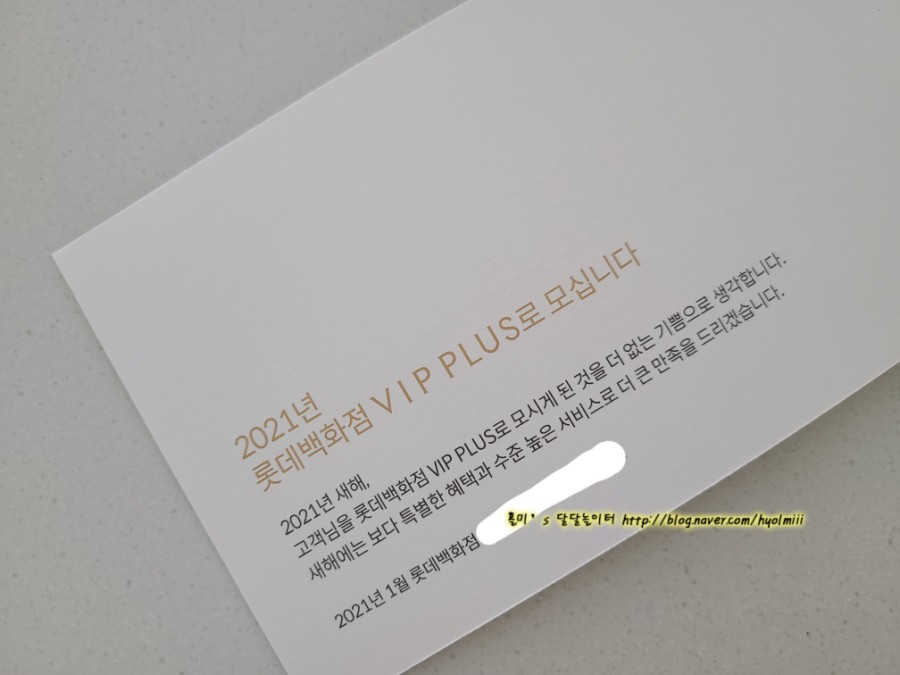 브이아이피플러스 이미지
