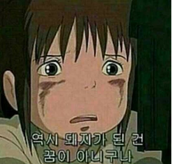 오렌지감자탕 이미지