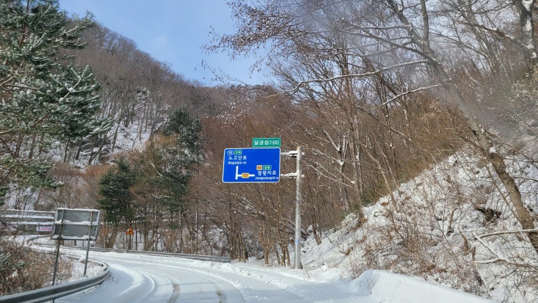 눈숲 이미지