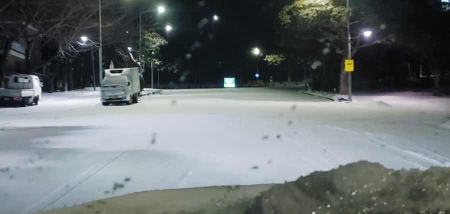 서귀포맛집코다리 이미지