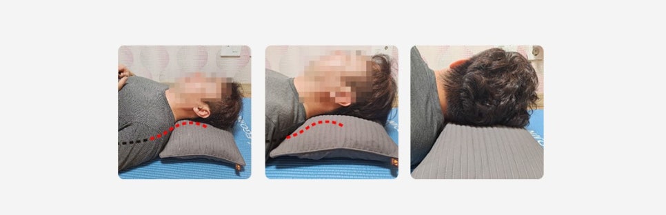목향편백 이미지