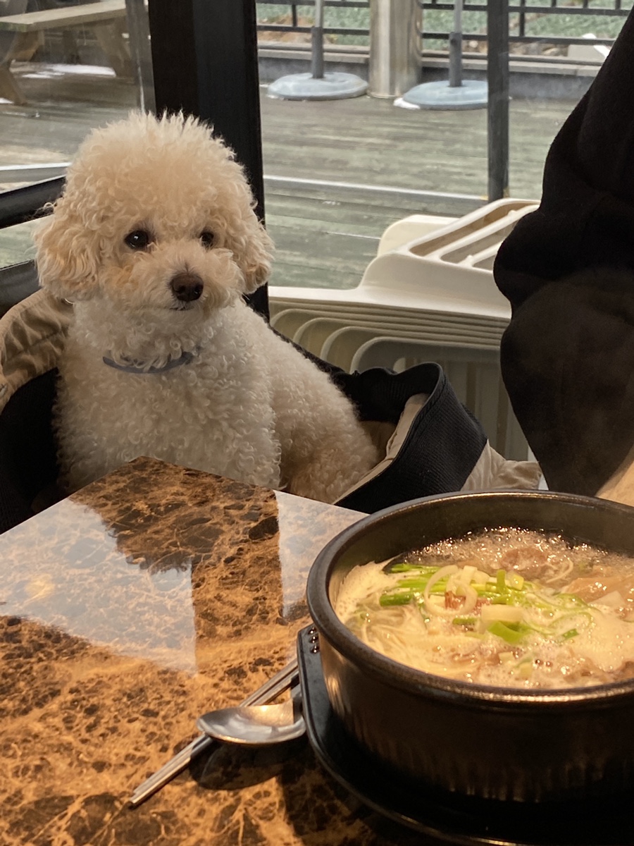 오늘은양지탕 사진 3