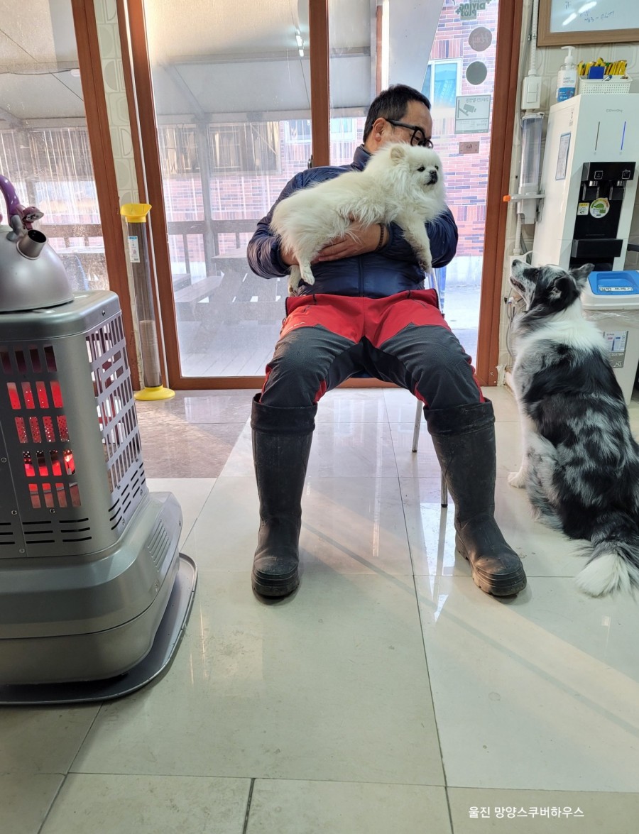 망양스쿠버하우스 이미지