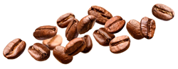 오일이coffee 이미지
