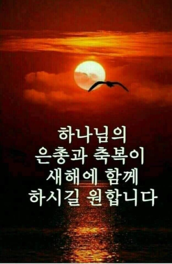 미쵸미쵸 이미지