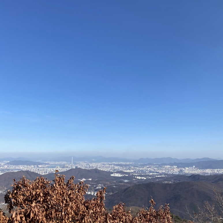 화이트스테이 이미지