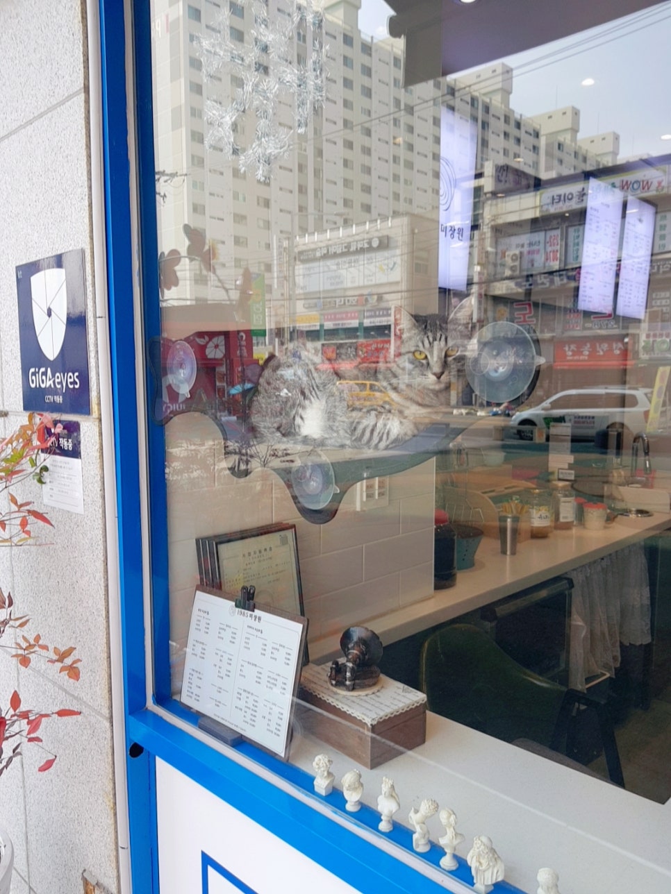 1985미장원 이미지