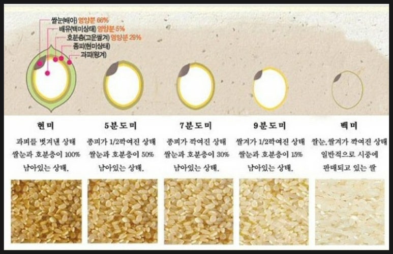 김영미다이어트 이미지