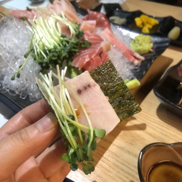 마구로효 이미지