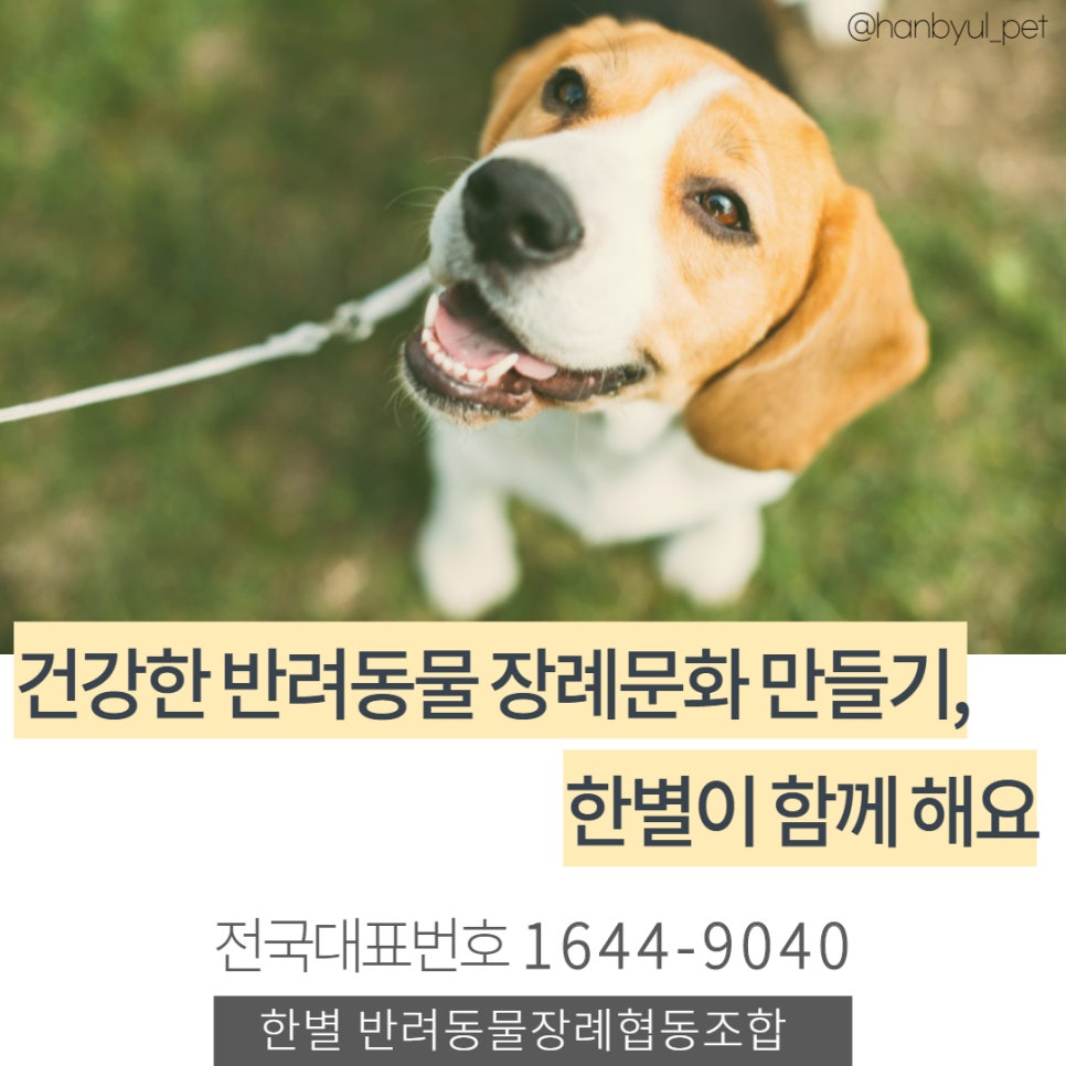 더한별 이미지