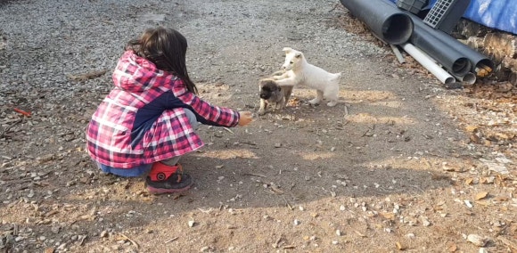 생태맘 생태마을 이미지